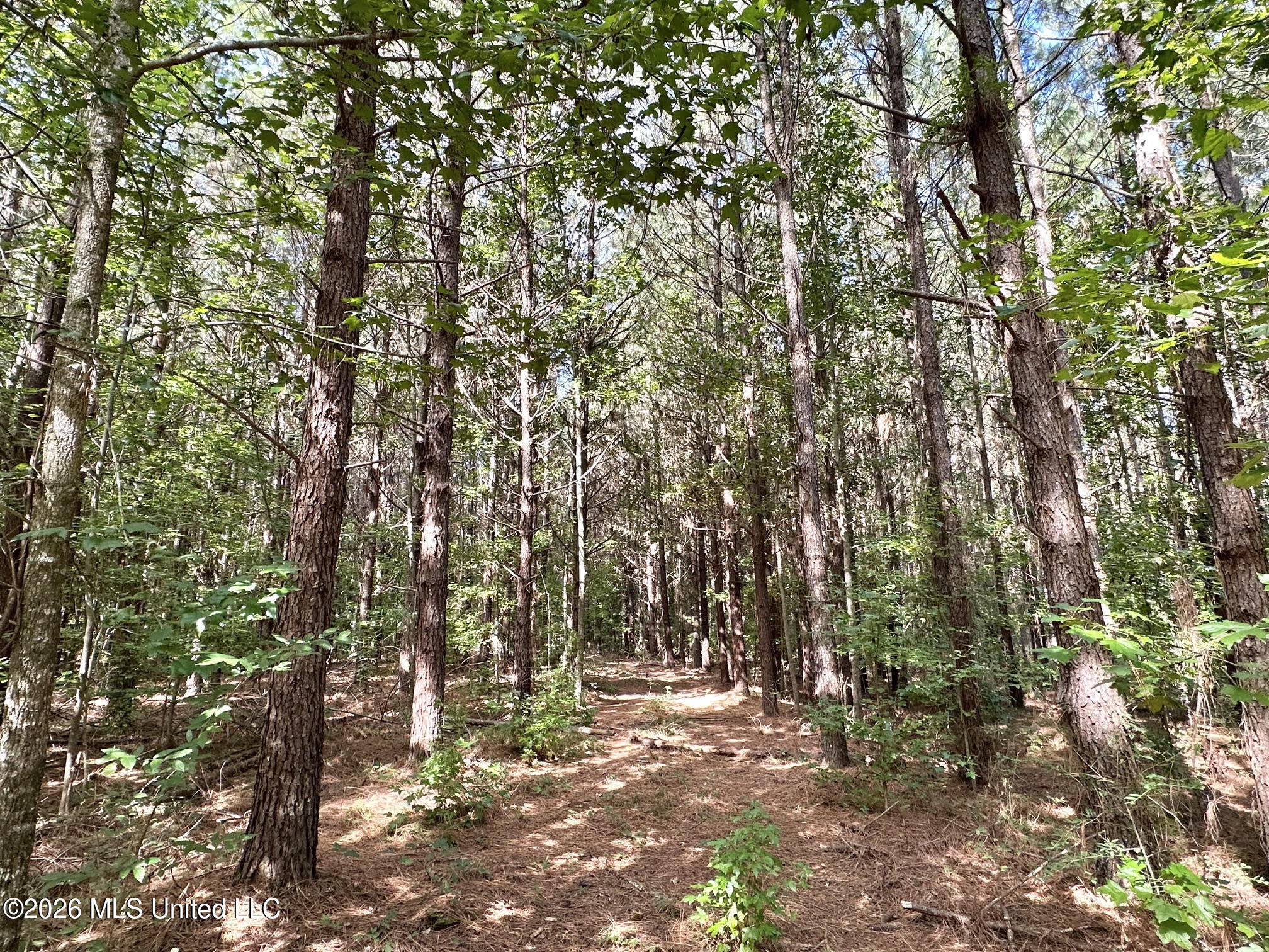 2 Dry Creek Road Magee, MS 39111 - Photo 2 of 20 3