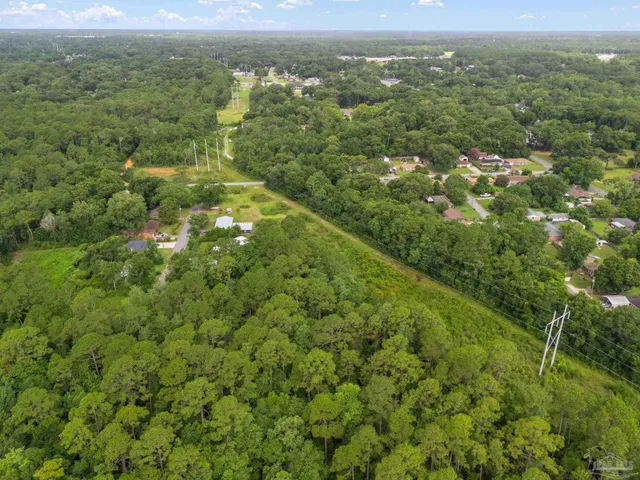 a view of a city with lush green forest