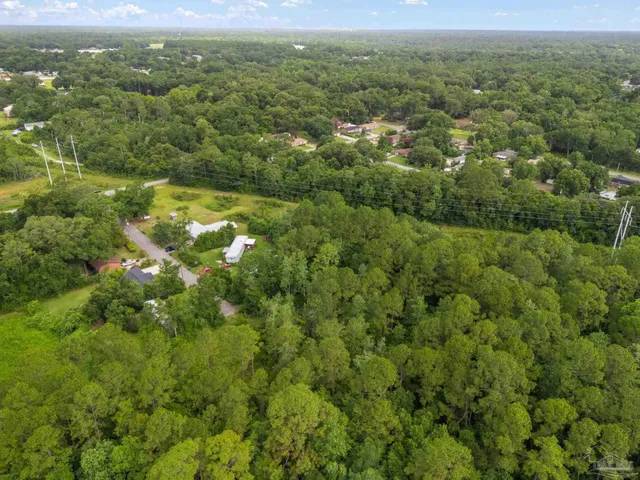 a view of a green field with lots of bushes