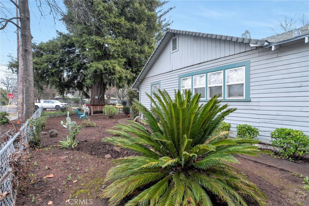 1200 Ivy Street Chico, CA 95928 - Photo 26 of 31 a view of a garden with plants