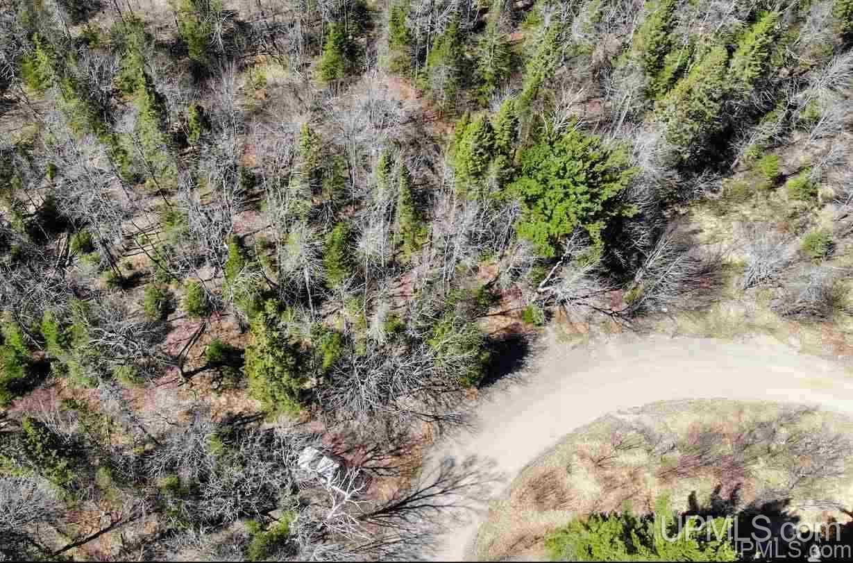 Tbd Celotex Road Michigamme, MI 49946 - Photo 4 of 25