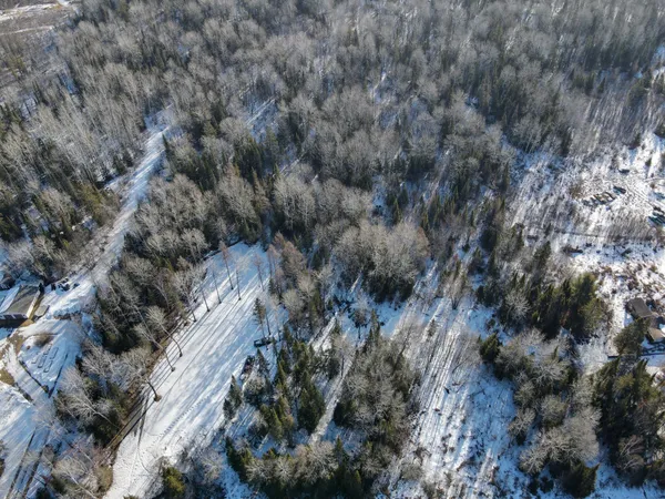 $30,000 | Tbd Butler Road, Mountain Iron, MN 55768