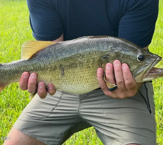 $1,350,000 | 5316 Mill Dam Road, Wake Forest, NC 27587