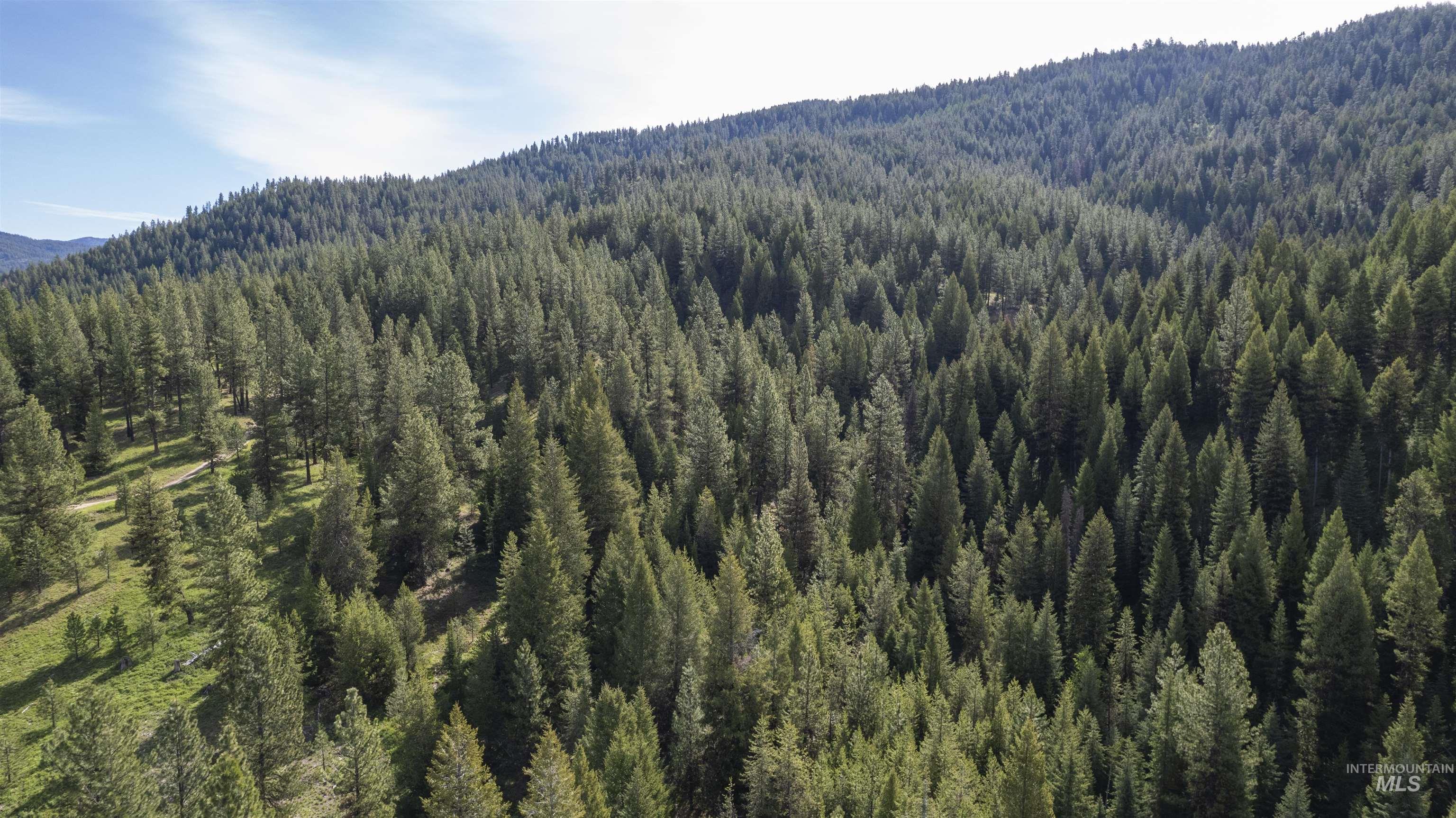 34 Clear Creek Road Cascade, ID 83611 - Photo 4 of 10