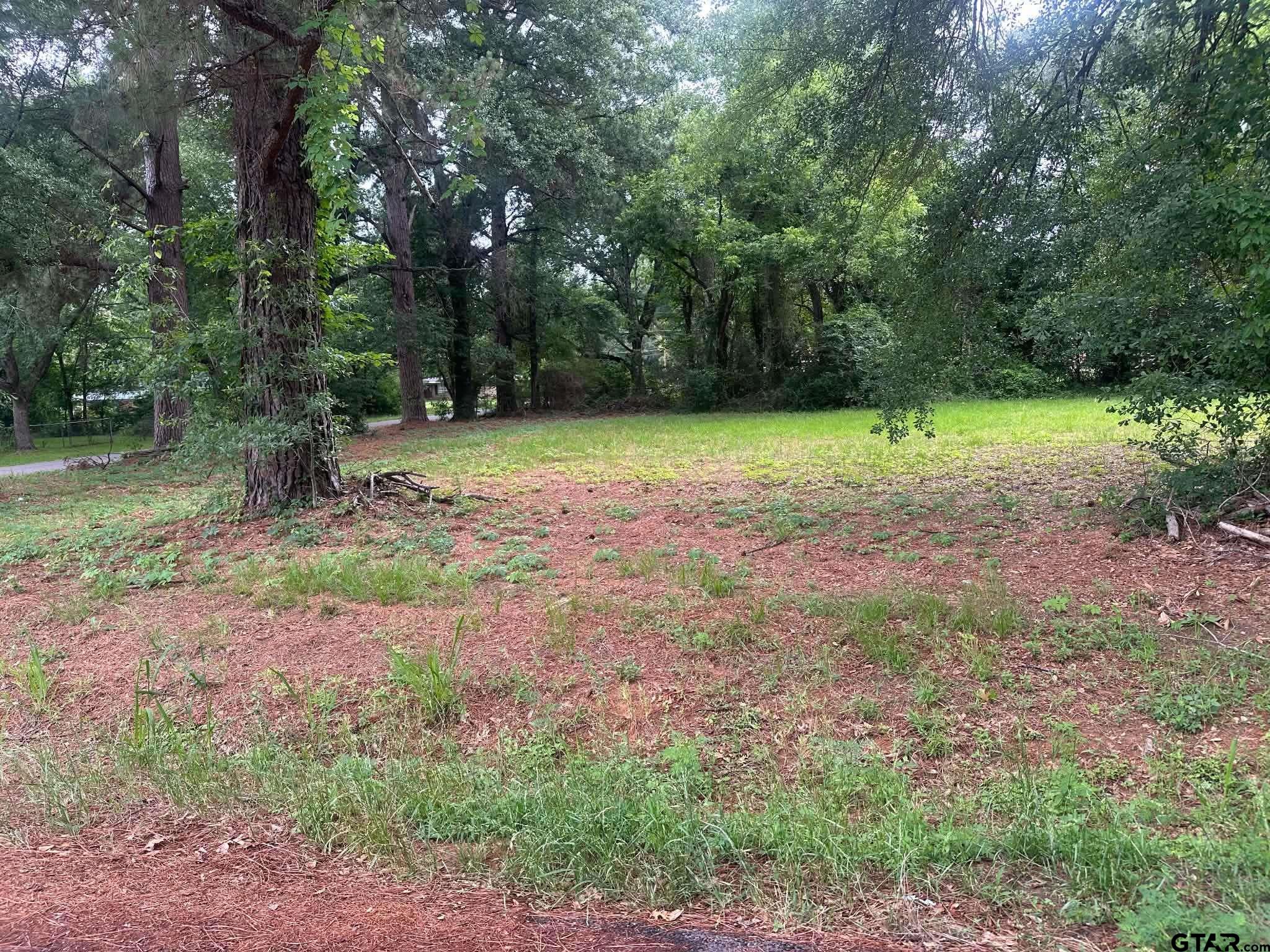 0 Ricky Drive Palestine, TX 75801 - Photo 3 of 6 a backyard of a house with lots of green space