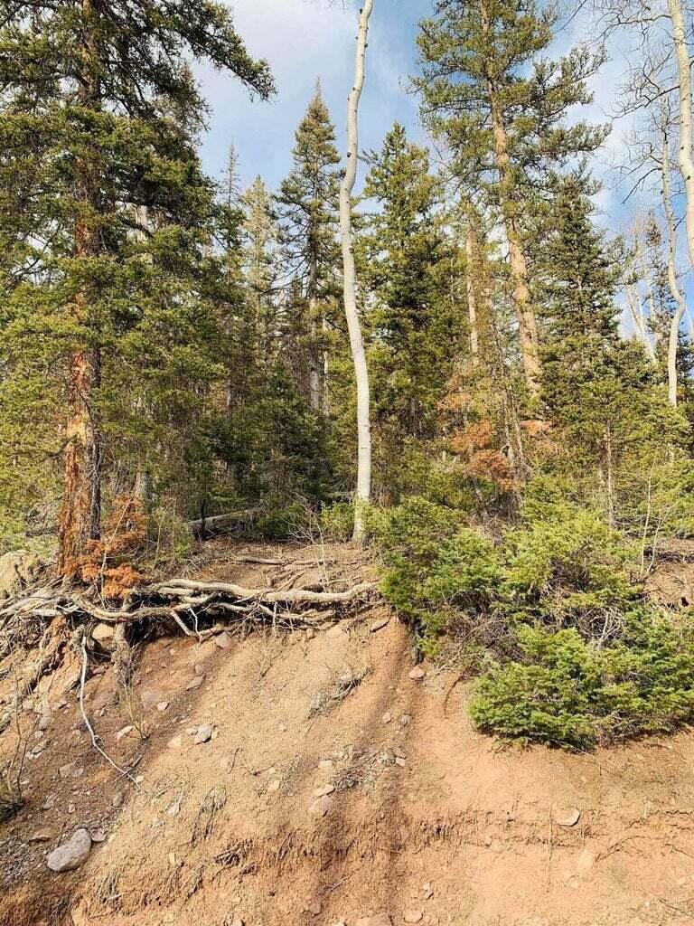 West Village, Unit 28 Beaver, UT 84713 - Photo 28 of 28 20230317122814568910000000-o