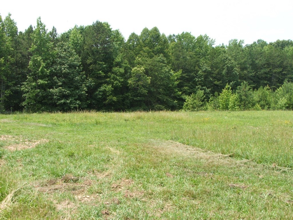 9625 Lunenburg County Road Keysville, VA 23947 - Photo 29 of 87 Gallery Image 29