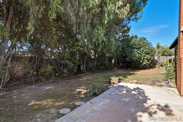 a view of a yard with plants and trees
