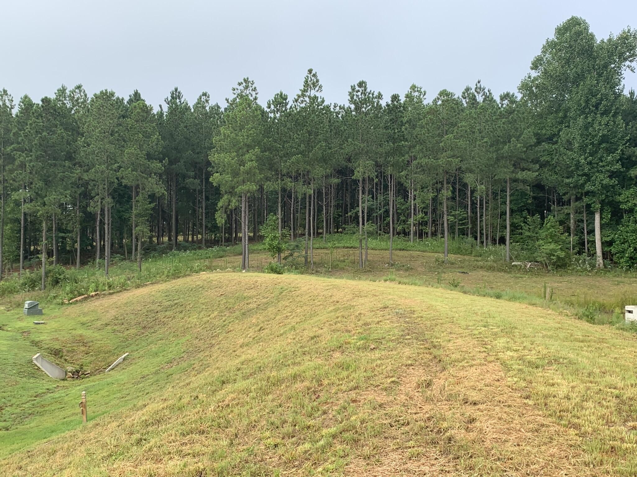 350 Crockett Loop Jasper, TN 37347 - Photo 6 of 55 a view of a backyard