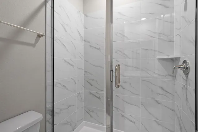 a bathroom with a shower and toilet