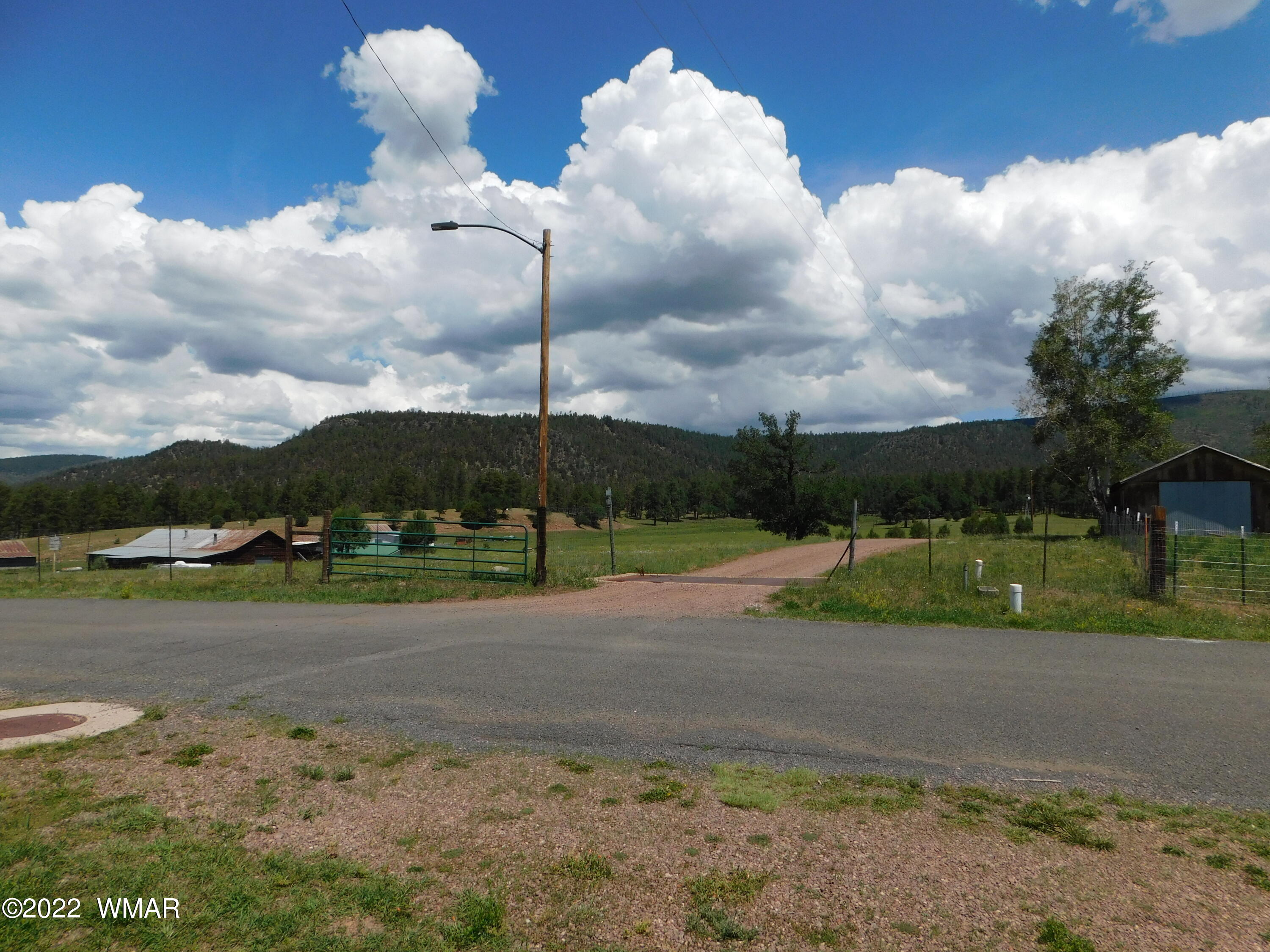 42 County Road Alpine, AZ 85920 - Photo 3 of 22