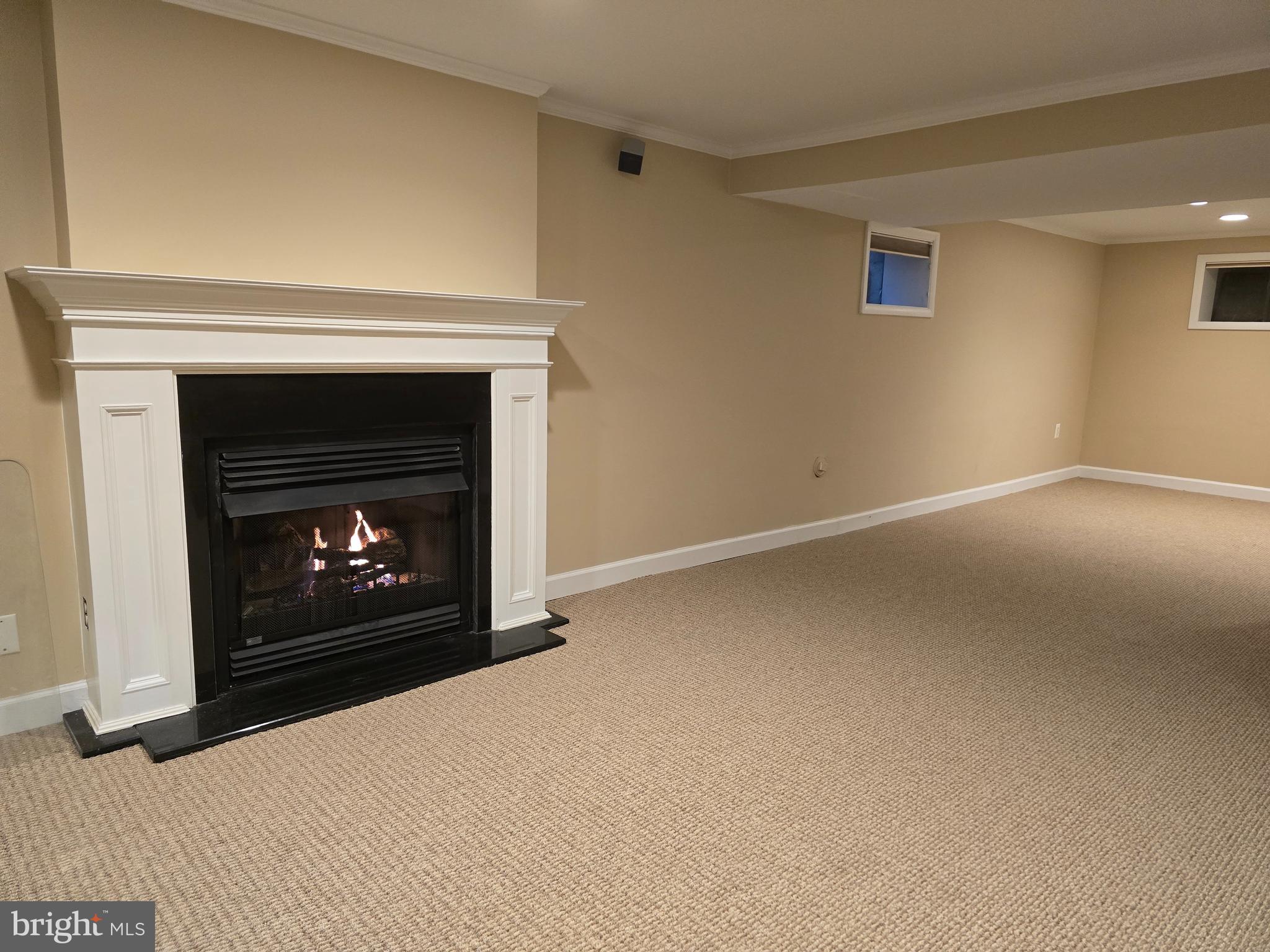 360 Wister Road Wynnewood, PA 19096 - Photo 29 of 36 Huge Lower Level