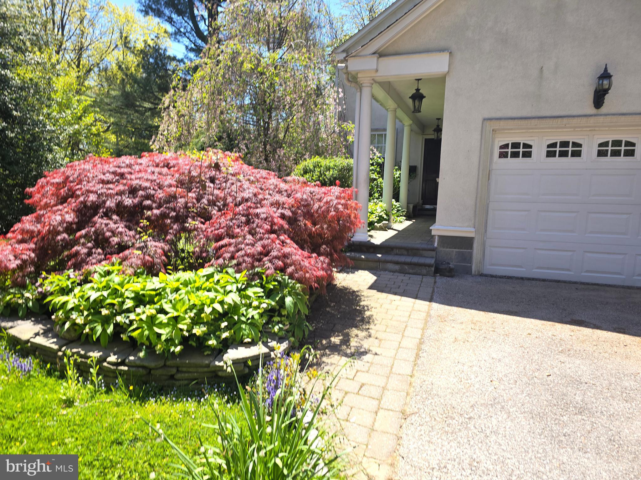 360 Wister Road Wynnewood, PA 19096 - Photo 4 of 36 Mature Plantings