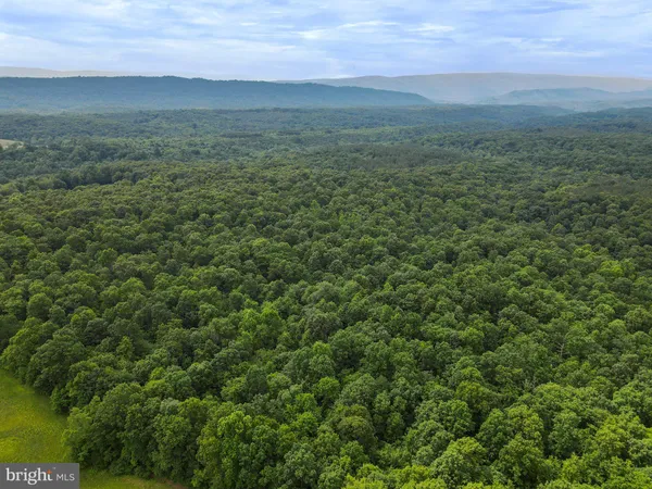 a view of a field with an ocean and trees