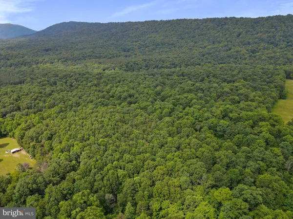 a view of a lush green hillside and a building