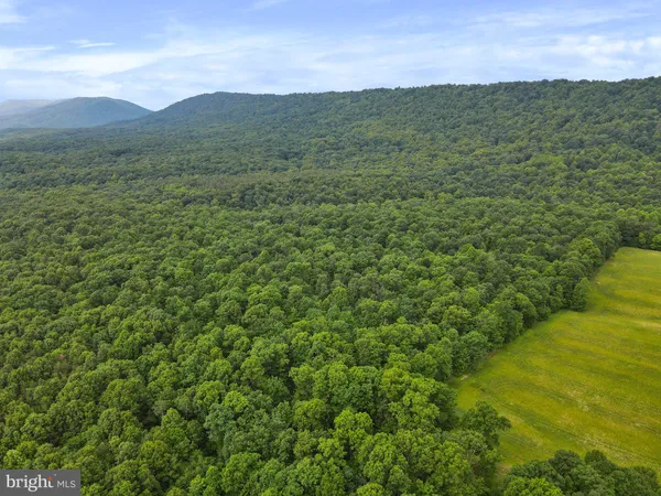 a view of a field with an ocean