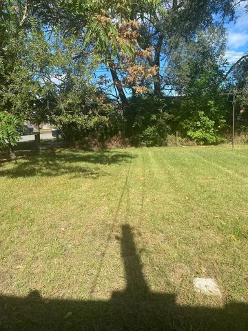 a view of yard with green space