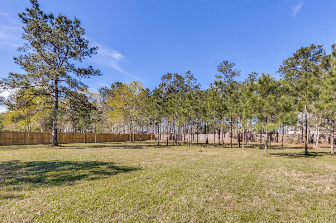 9741 Hardin Street Conroe, TX 77303 - Photo 8 of 29