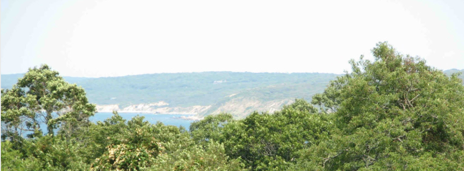 737 State Road Aquinnah, MA 02535 - Photo 12 of 12 View to Menemsha from 737 State Rd.