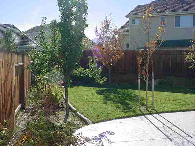 9801 Eastmont Court Reno, NV 89521 - Photo 9 of 9 Photo 9