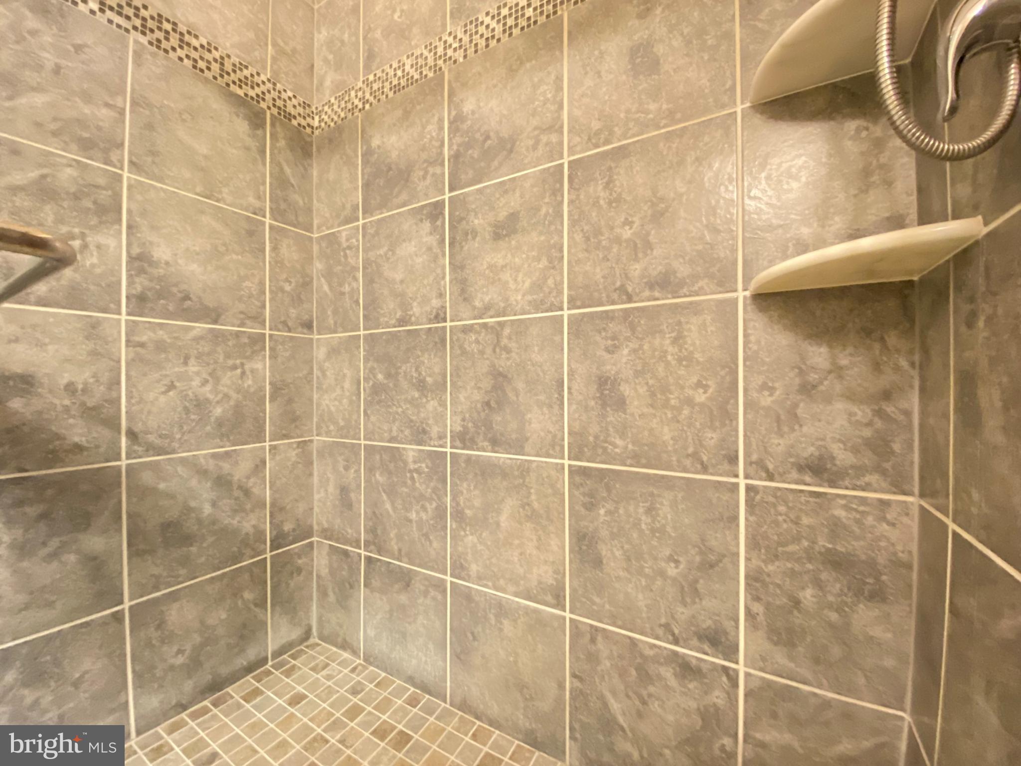 3845 Jacob Stout Road Doylestown, PA 18902 - Photo 16 of 37 primary shower