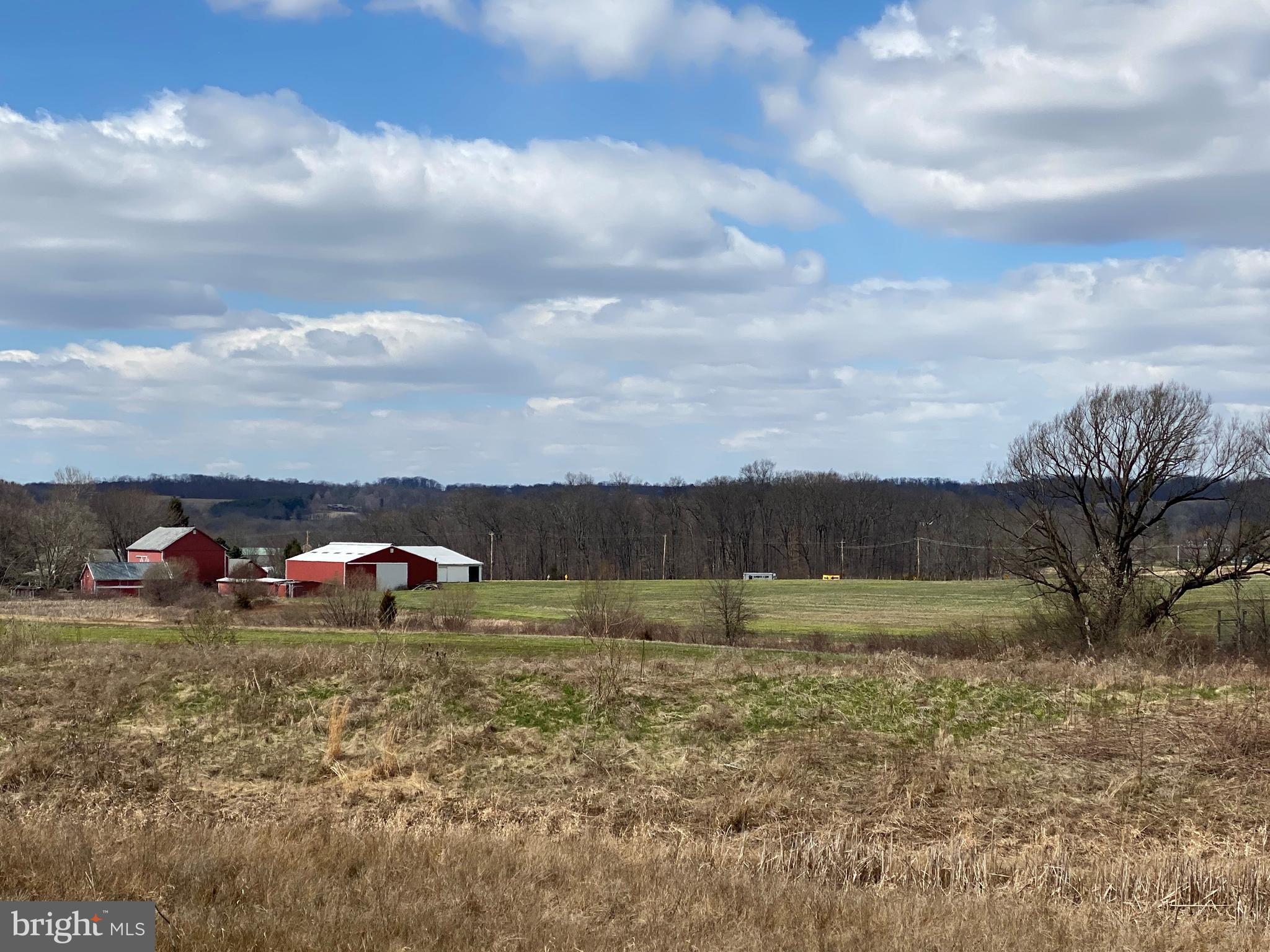 3845 Jacob Stout Road Doylestown, PA 18902 - Photo 31 of 37 Del Val Farm - view