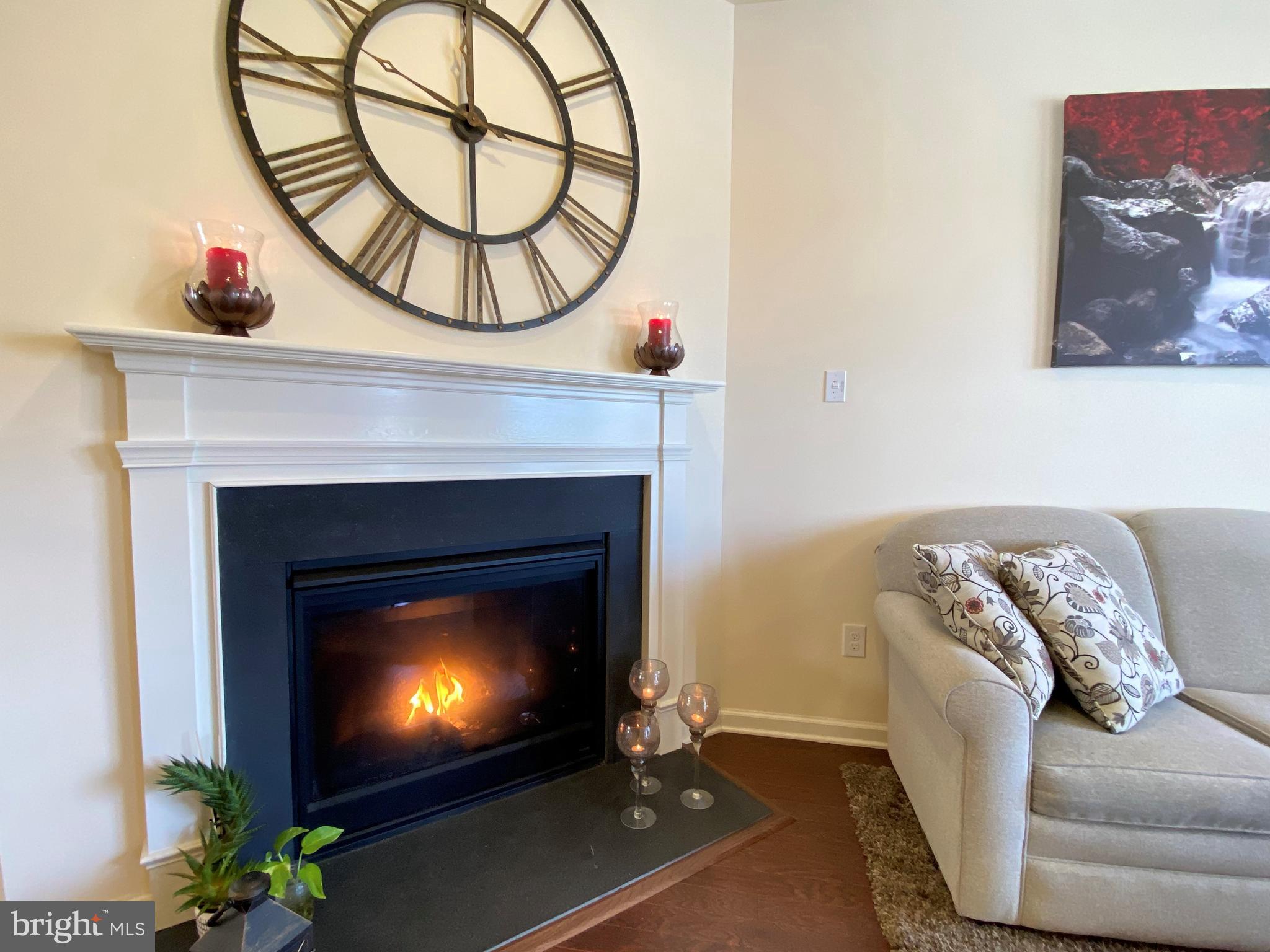 3845 Jacob Stout Road Doylestown, PA 18902 - Photo 5 of 37 fireplace