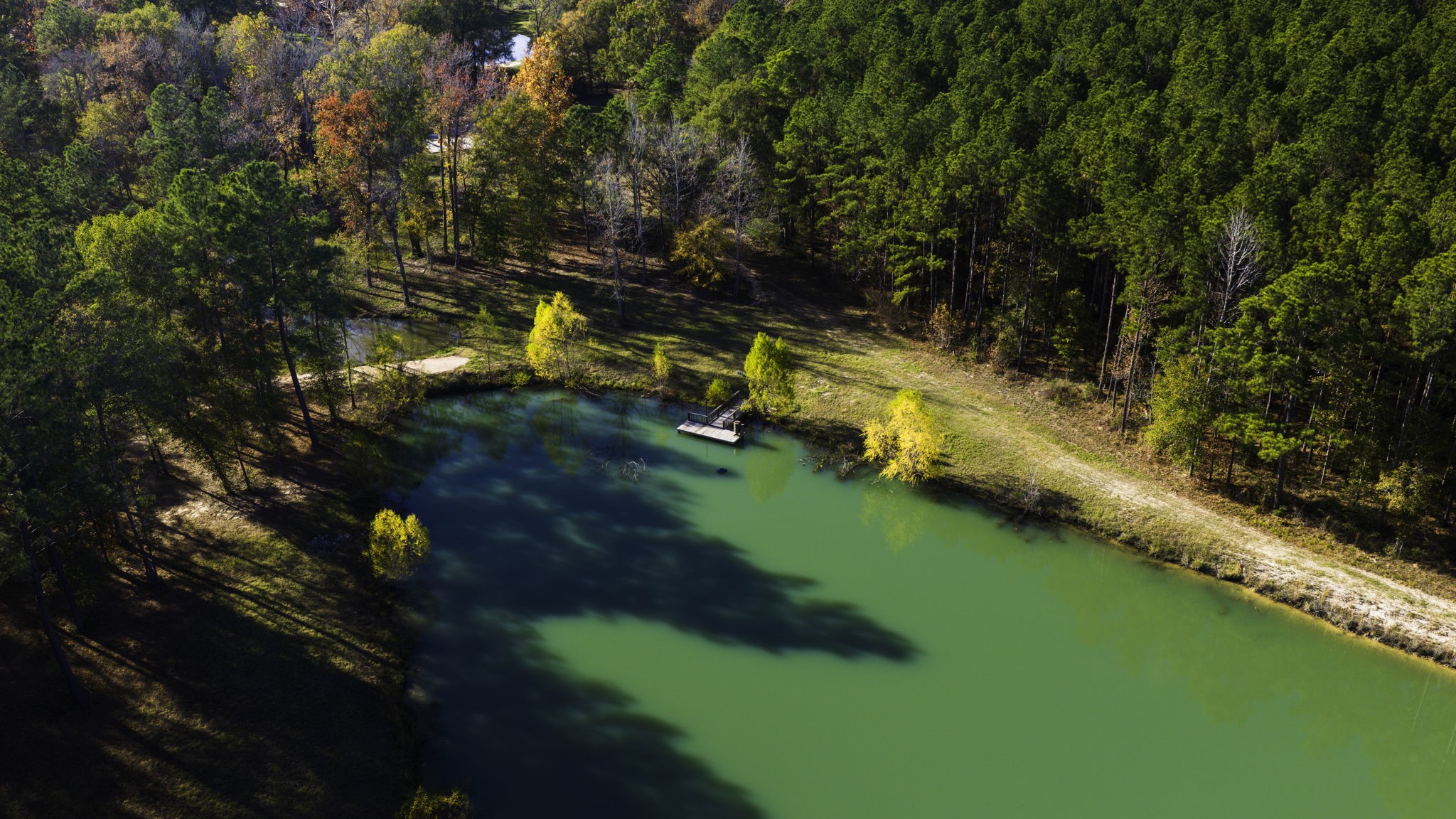 24722 Ranching Way Montgomery, TX 77356 - Photo 3 of 49