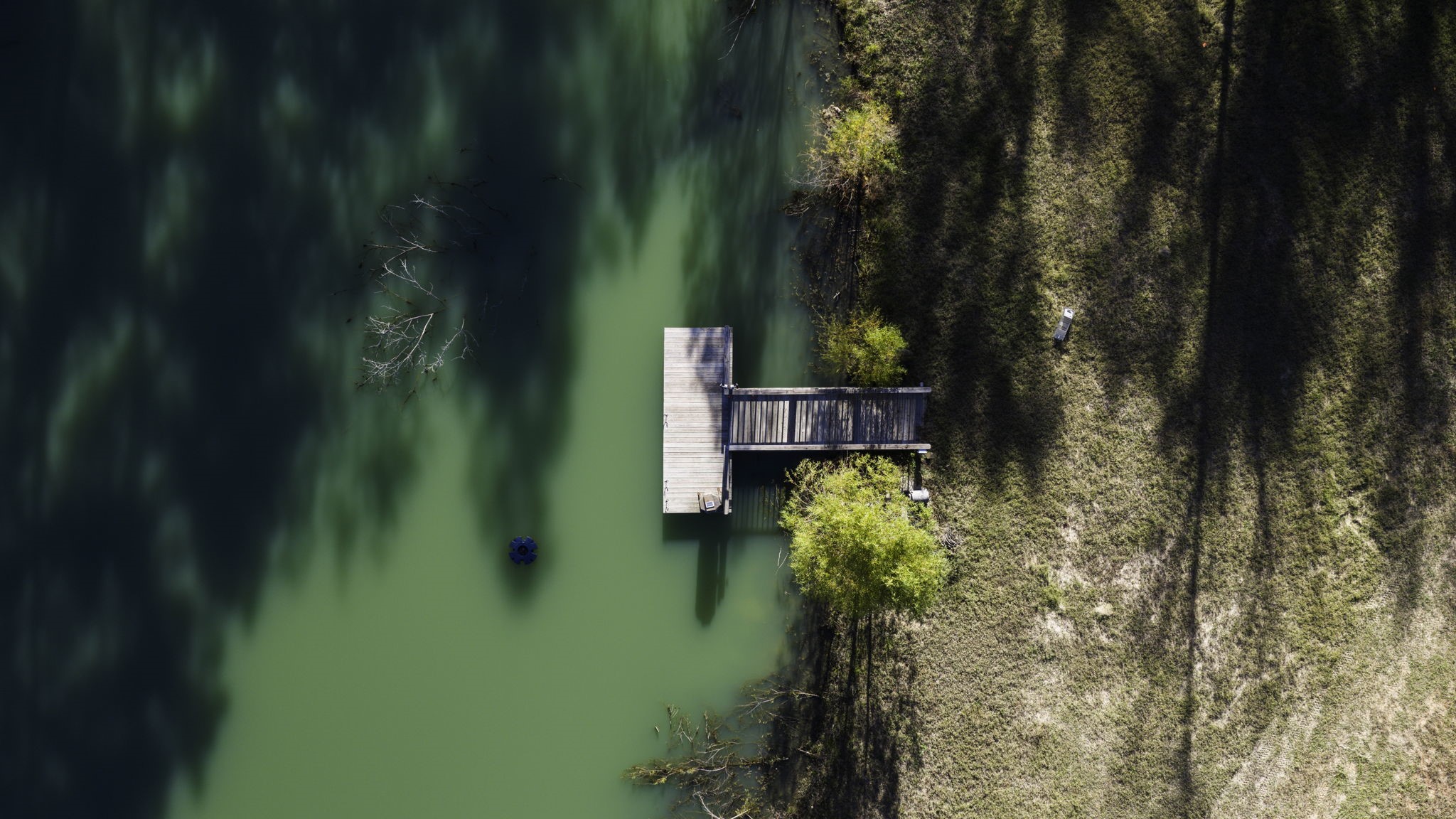 24722 Ranching Way Montgomery, TX 77356 - Photo 4 of 49