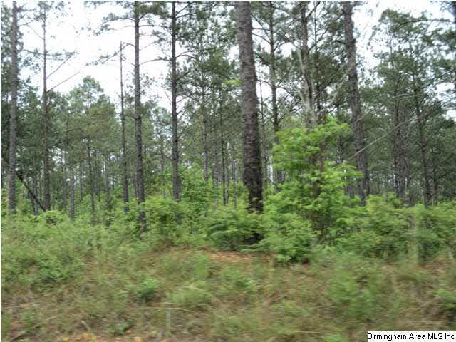485 County Road, Unit 110 Clanton, AL 35046 - Photo 14 of 22