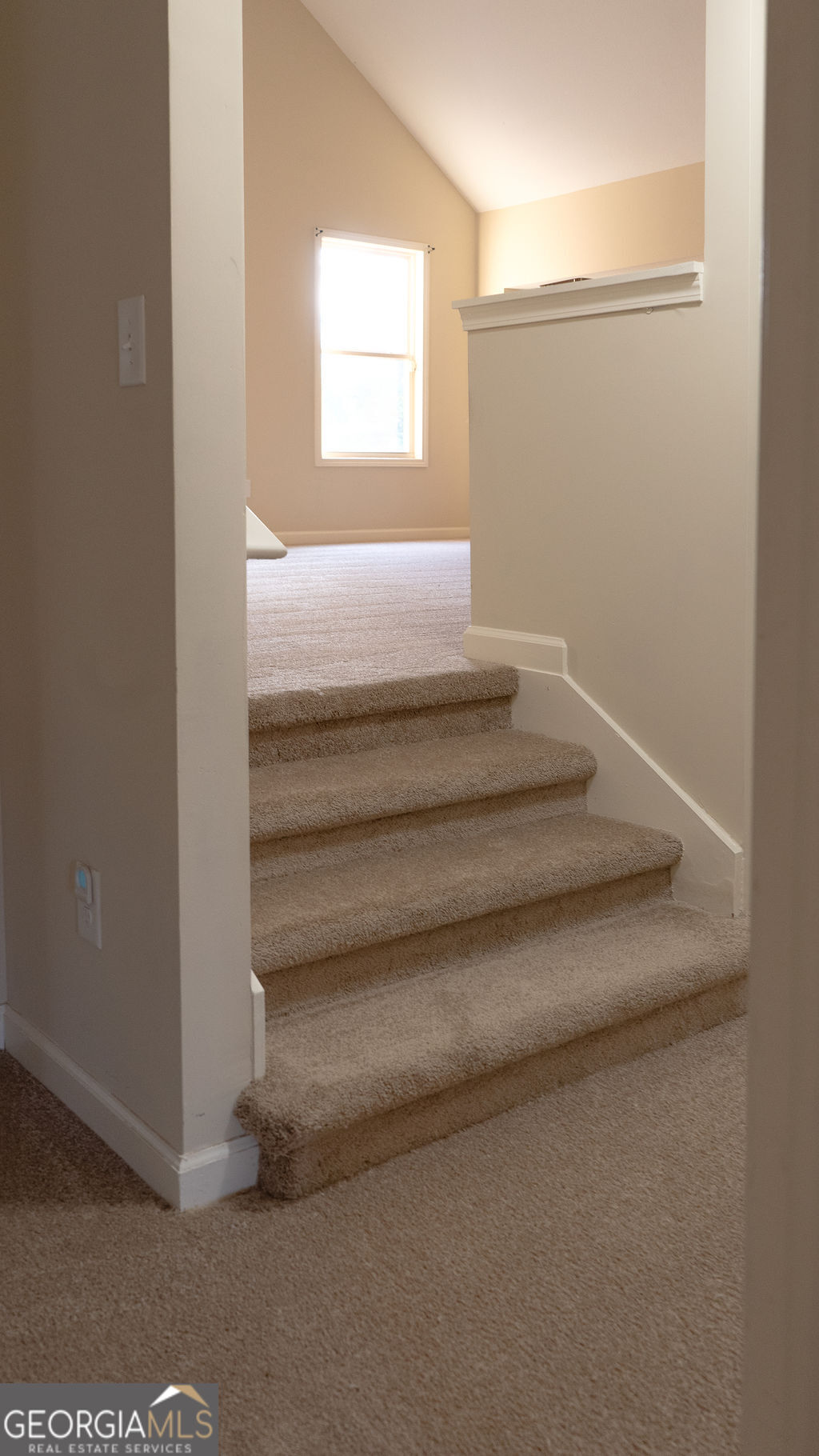 170 Fire Crk Trail Senoia, GA 30276 - Photo 47 of 62