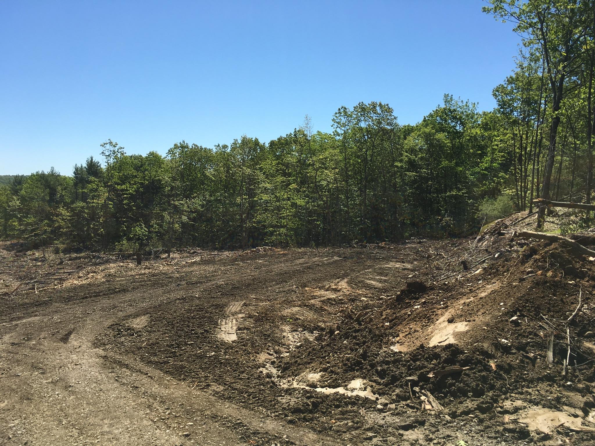20-acres West Road Waterboro, ME 04087 - Photo 8 of 16 3A0C58EE-5FF7-44E1-A0C0-08C20826F32F