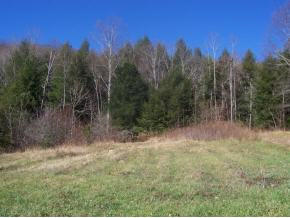 0 Scenic View Road Flag Pond, TN 37657 - Photo 3 of 4 Photo 3