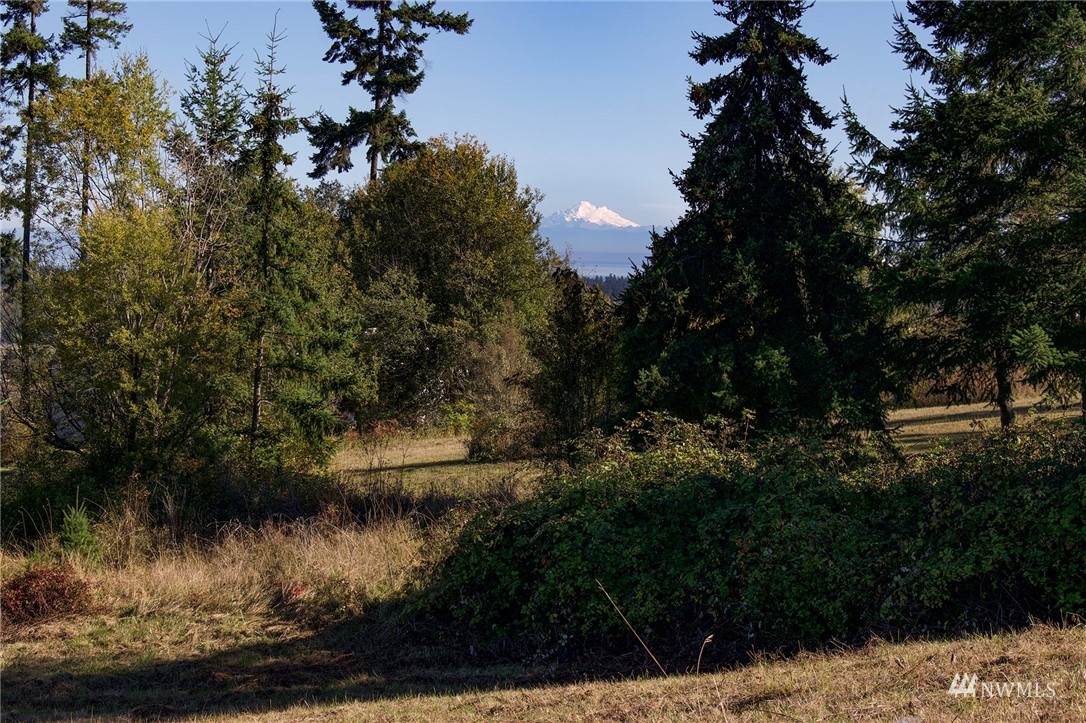 99999 Miller Road Sequim, WA 98382 - Photo 11 of 39 Gallery Image 11