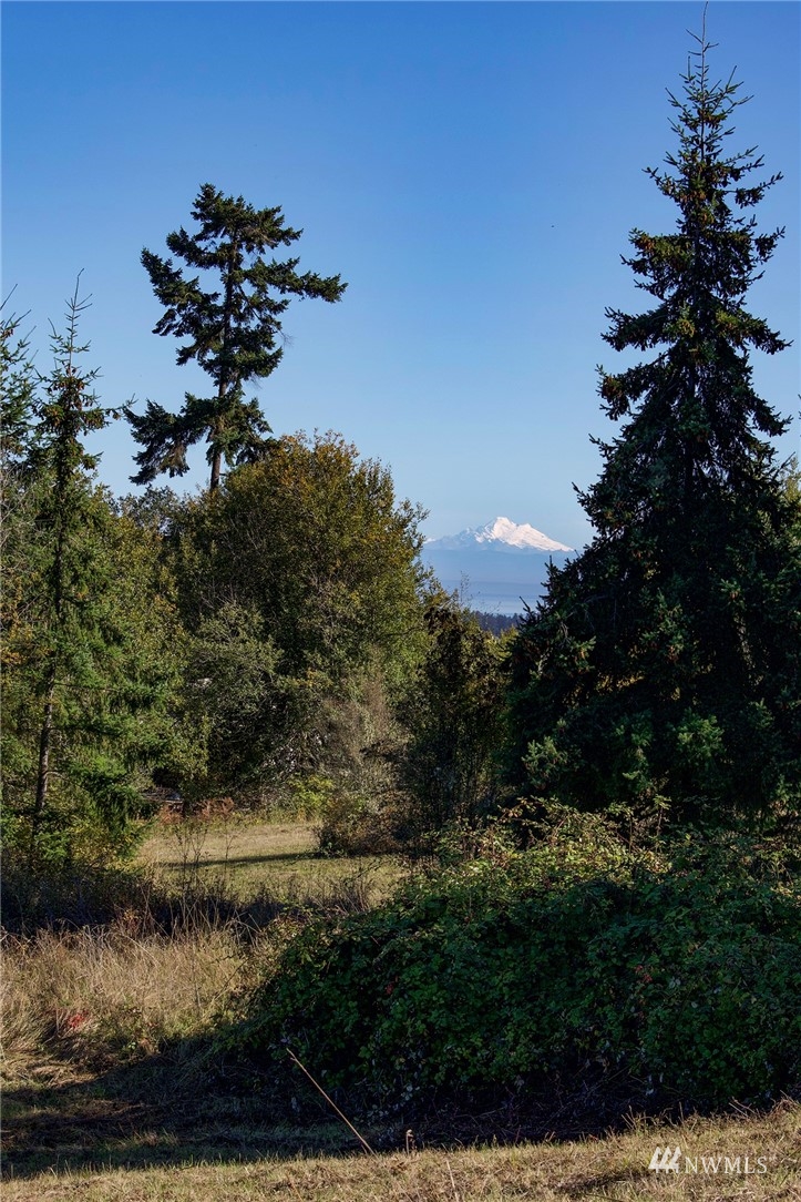 99999 Miller Road Sequim, WA 98382 - Photo 13 of 39 Gallery Image 13