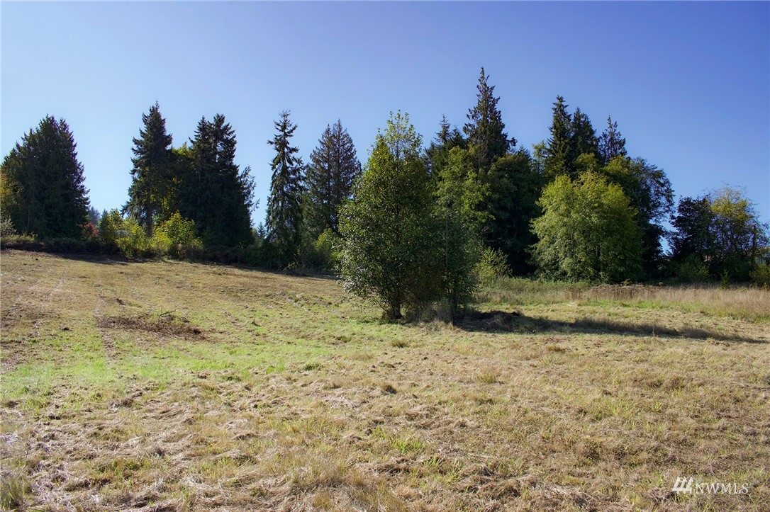 99999 Miller Road Sequim, WA 98382 - Photo 16 of 39 Gallery Image 16