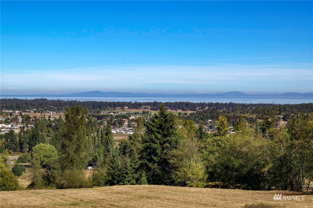 99999 Miller Road Sequim, WA 98382 - Photo 19 of 39 Gallery Image 19