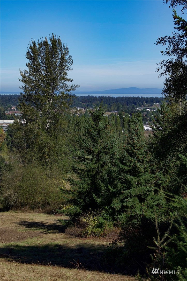 99999 Miller Road Sequim, WA 98382 - Photo 23 of 39 Gallery Image 23