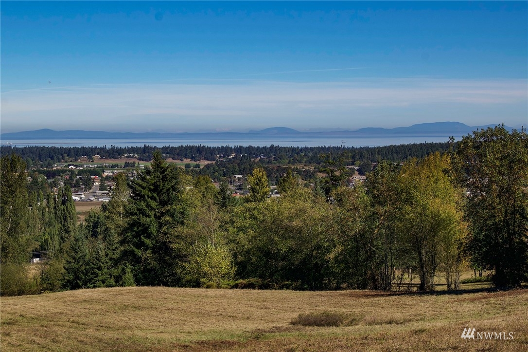 99999 Miller Road Sequim, WA 98382 - Photo 35 of 39 Gallery Image 35
