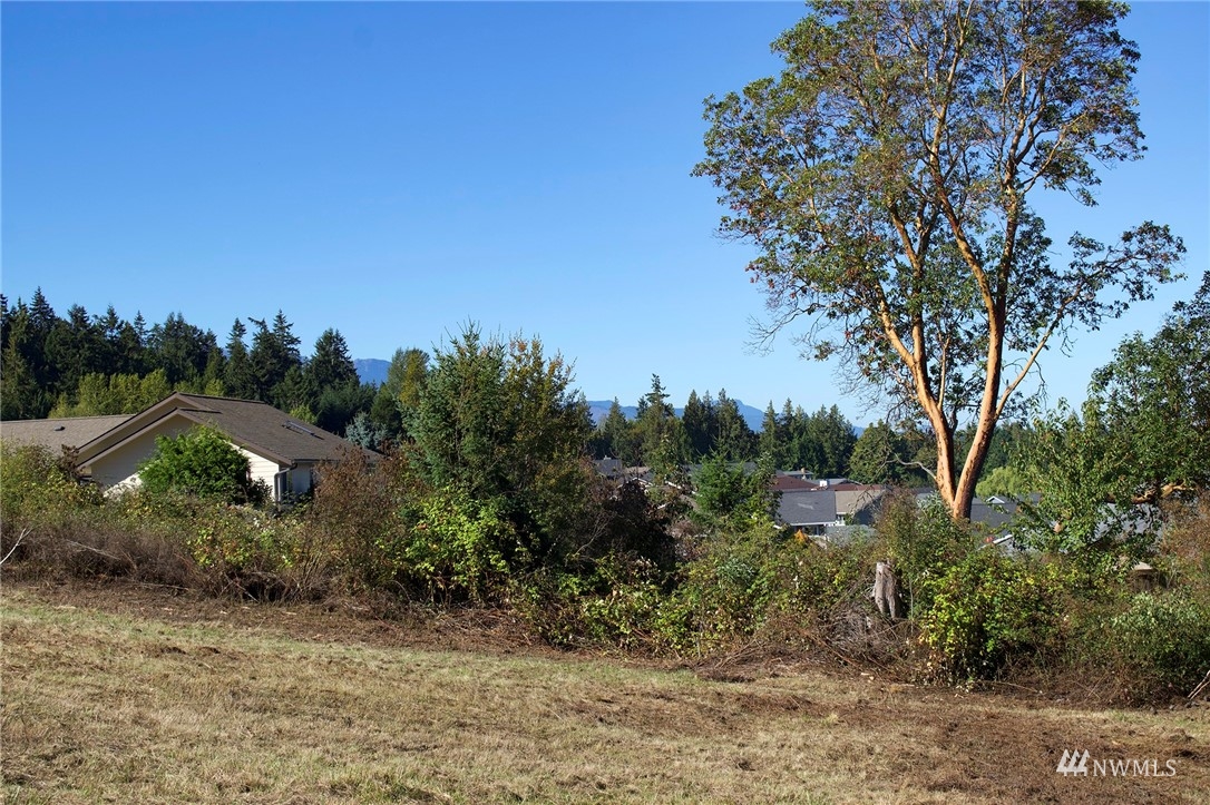 99999 Miller Road Sequim, WA 98382 - Photo 38 of 39 Gallery Image 38