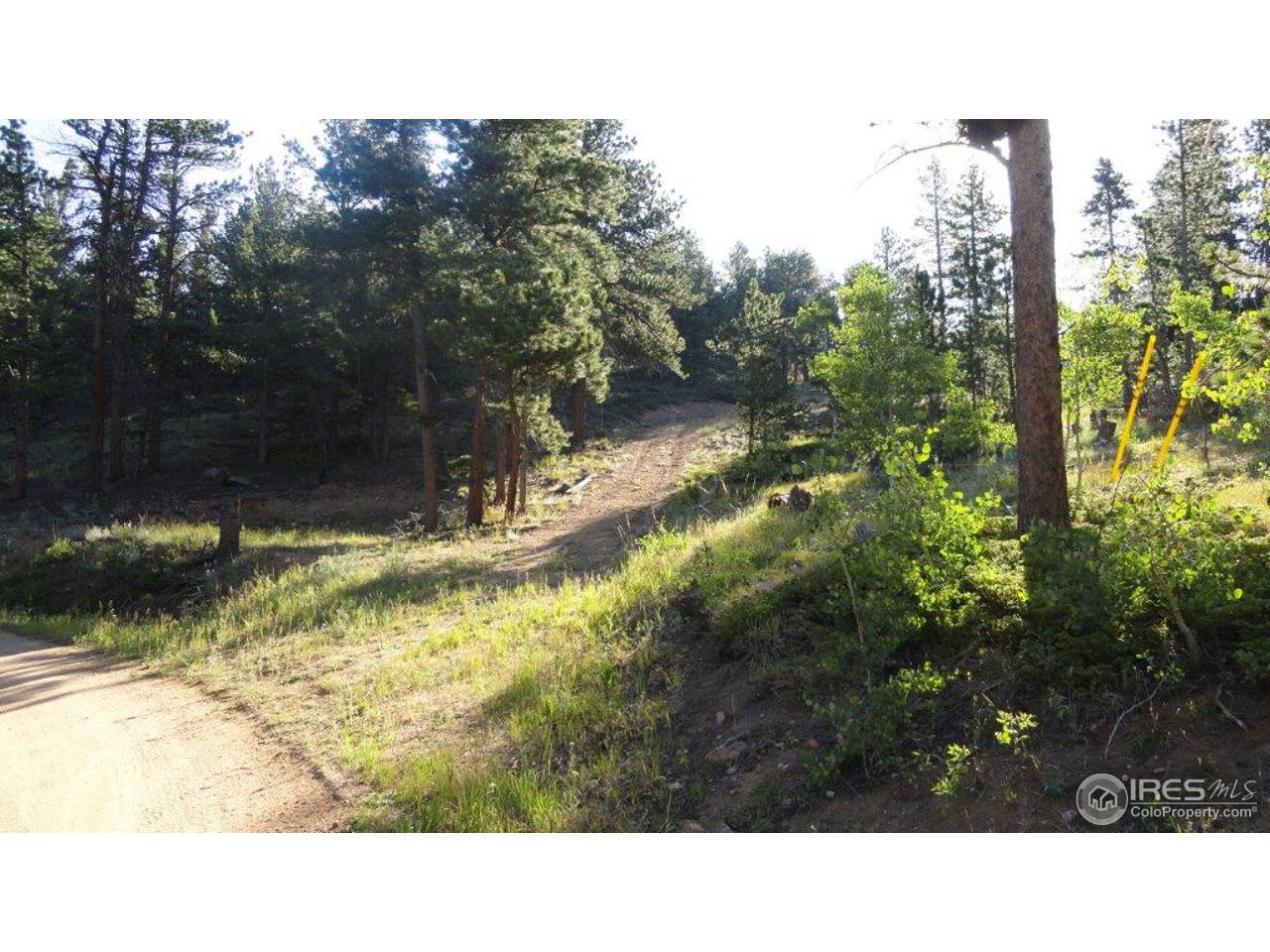495 Crow Road Red Feather Lakes, CO 80545 - Photo 1 of 19 Drive