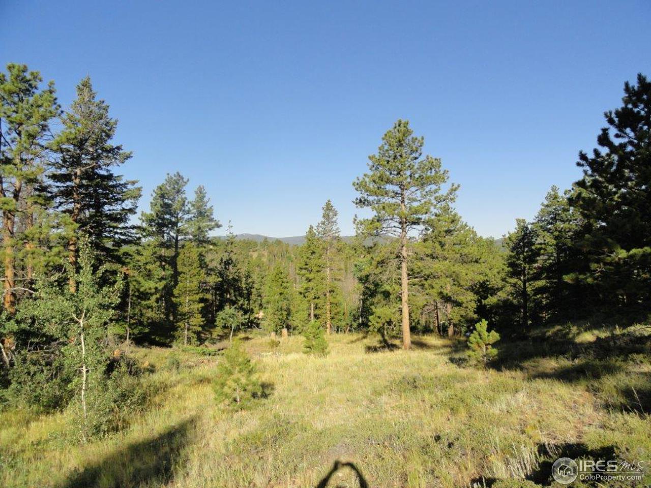 495 Crow Road Red Feather Lakes, CO 80545 - Photo 11 of 19 Gallery Image 11