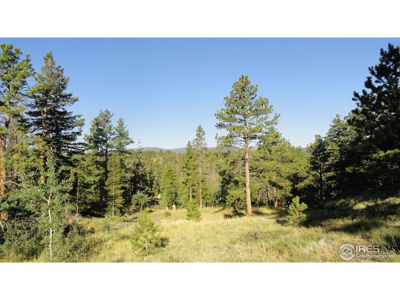 495 Crow Road Red Feather Lakes, CO 80545 - Photo 12 of 19 Gallery Image 12