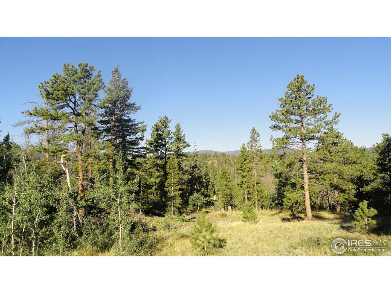 495 Crow Road Red Feather Lakes, CO 80545 - Photo 13 of 19 Gallery Image 13