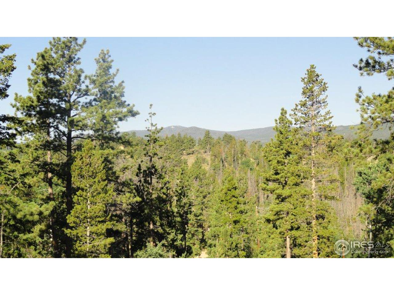 495 Crow Road Red Feather Lakes, CO 80545 - Photo 14 of 19 View