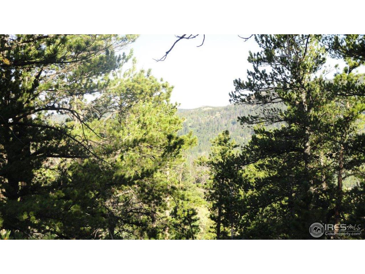 495 Crow Road Red Feather Lakes, CO 80545 - Photo 15 of 19 View