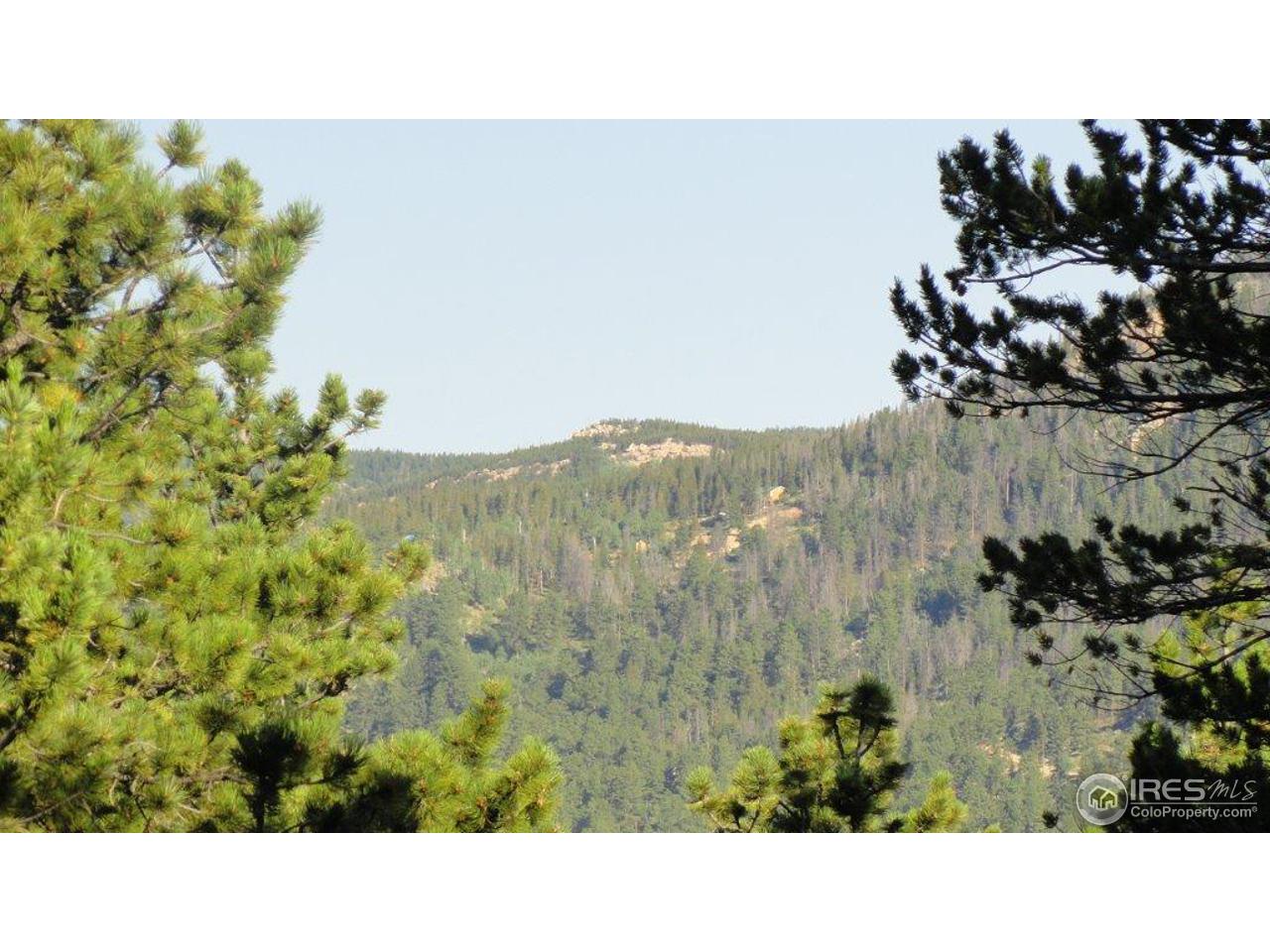 495 Crow Road Red Feather Lakes, CO 80545 - Photo 16 of 19 View