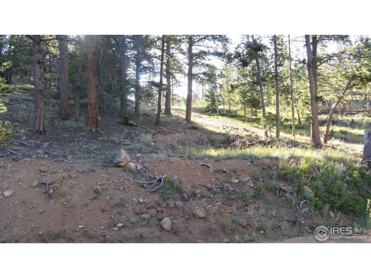495 Crow Road Red Feather Lakes, CO 80545 - Photo 2 of 19 Gallery Image 2