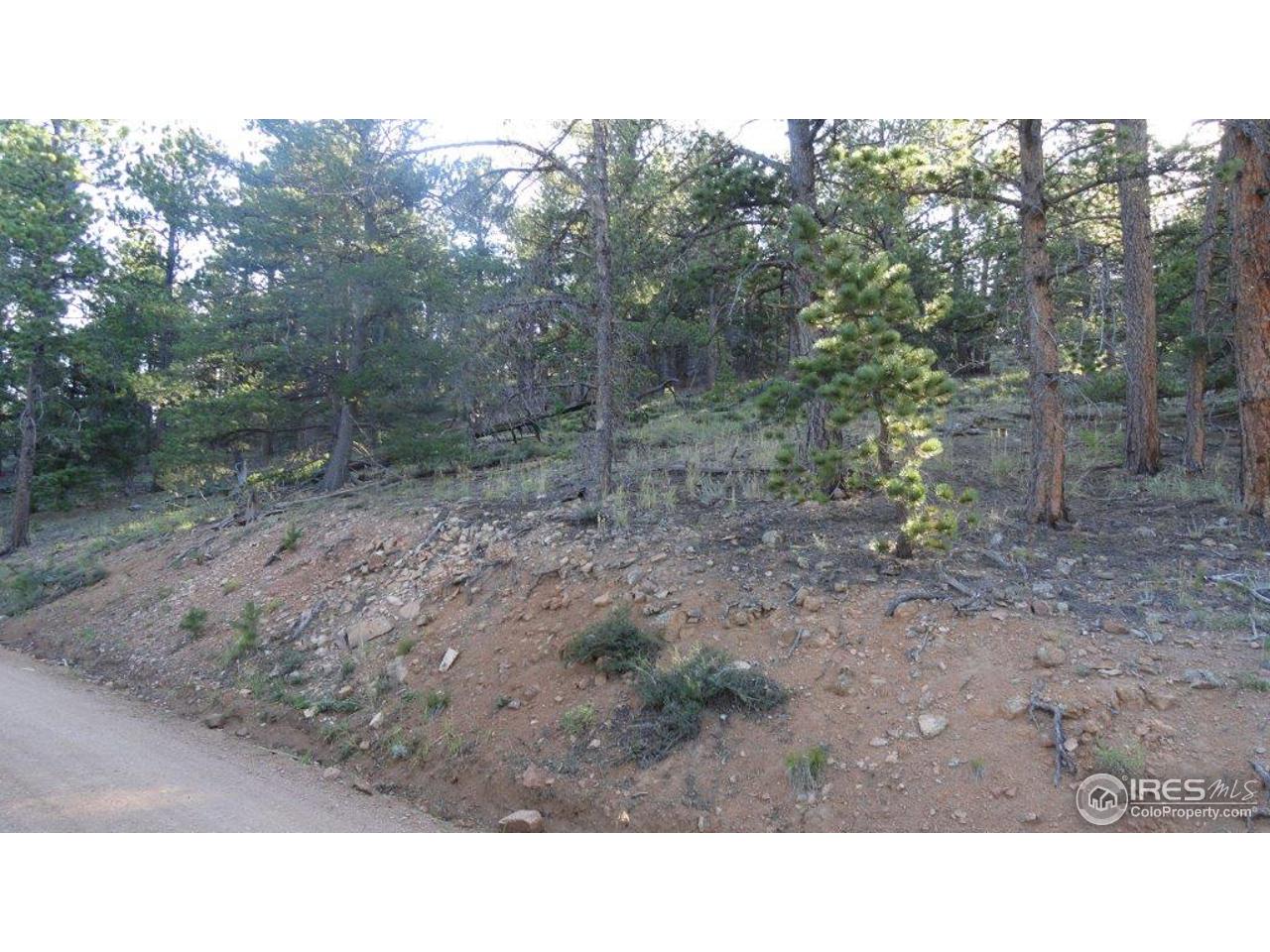 495 Crow Road Red Feather Lakes, CO 80545 - Photo 3 of 19 Gallery Image 3