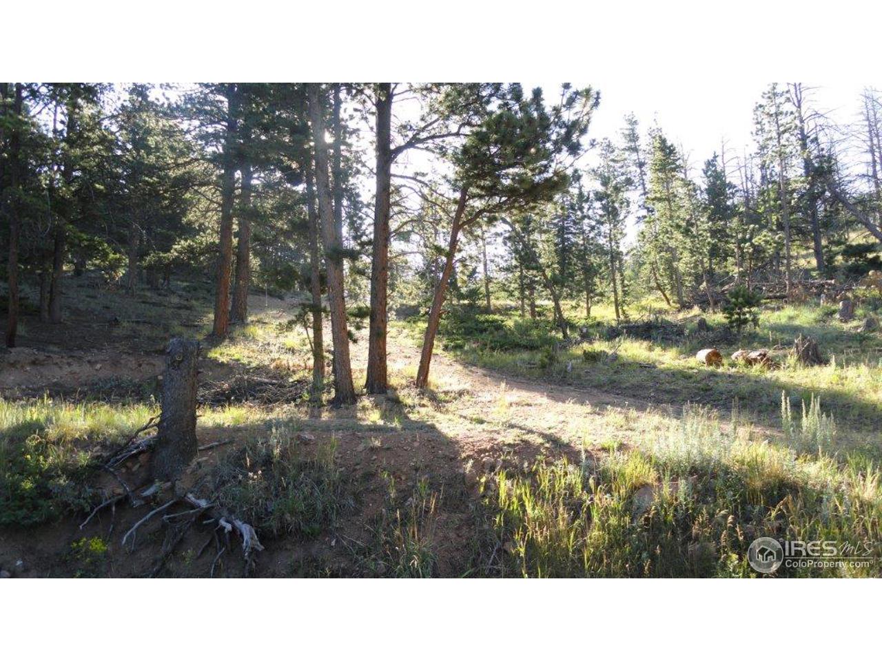 495 Crow Road Red Feather Lakes, CO 80545 - Photo 4 of 19 Gallery Image 4